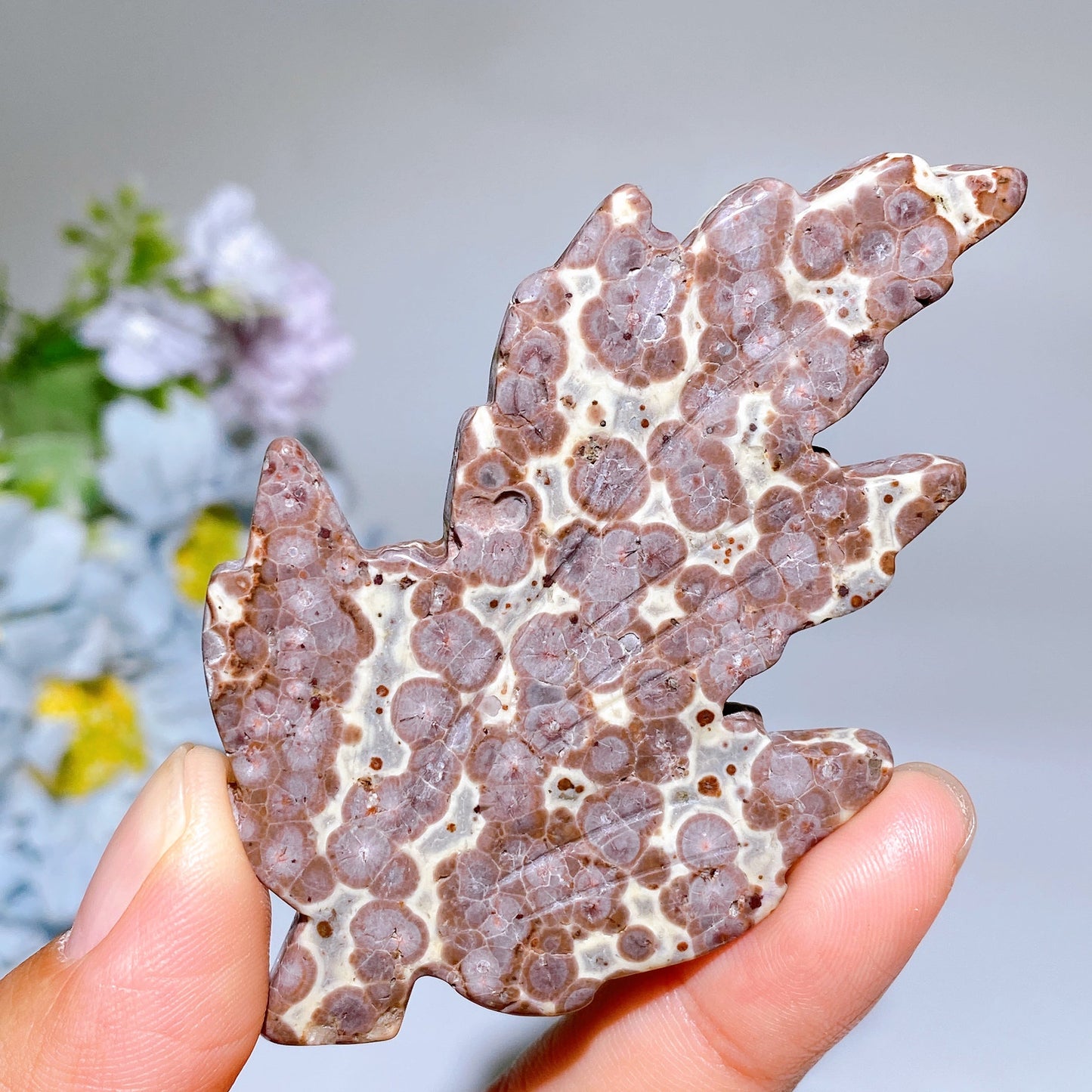 3.2" Crystal Leaf Carving Crystal Healing Bulk Wholesale