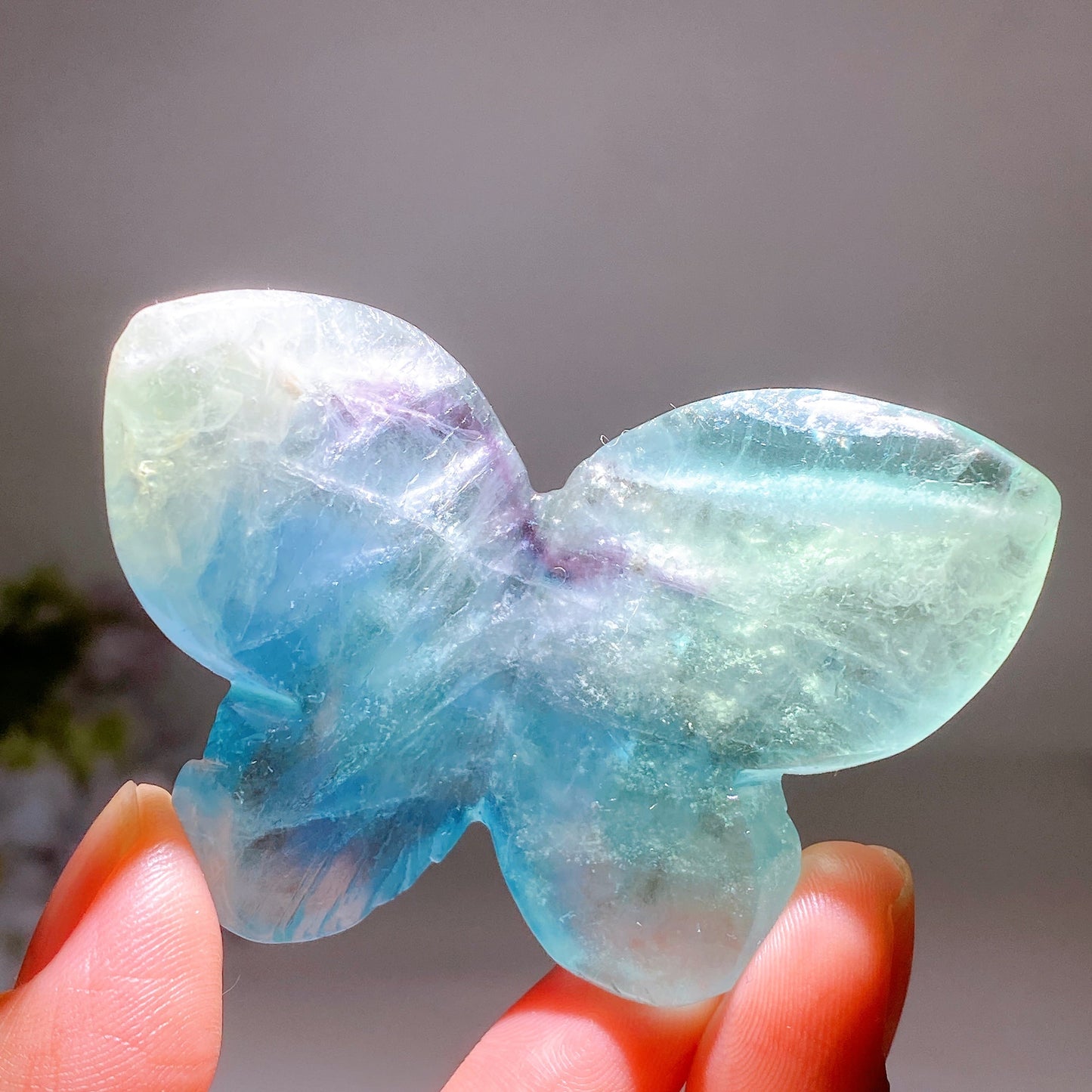 2.3" Blue Fluorite Sky Blue Butterfly Carving Crystal Healing Bulk Wholesale