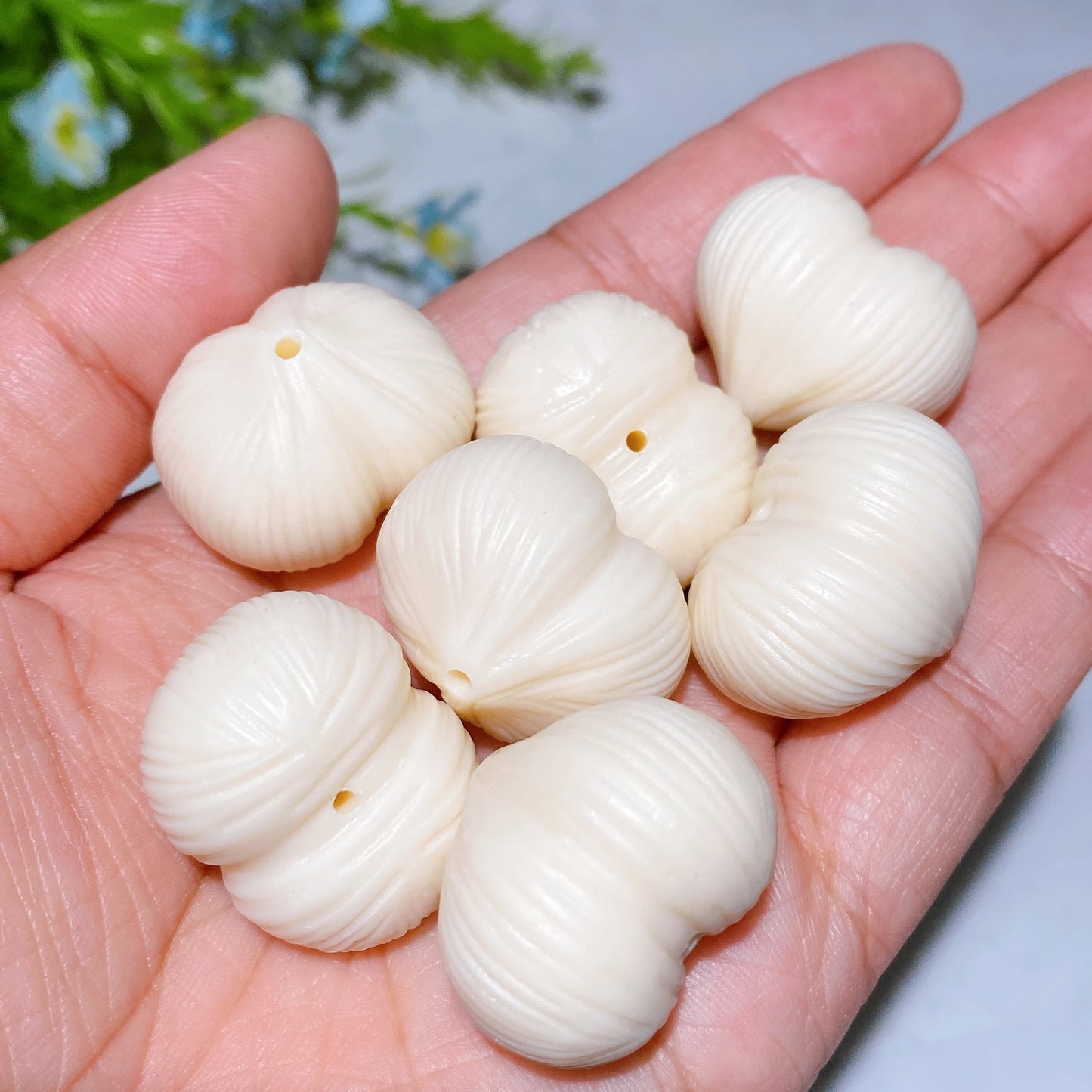 1.0 Ivory Nut Garlic Carving Crystal Healing Bulk Wholesale