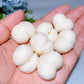 1.0 Ivory Nut Garlic Carving Crystal Healing Bulk Wholesale
