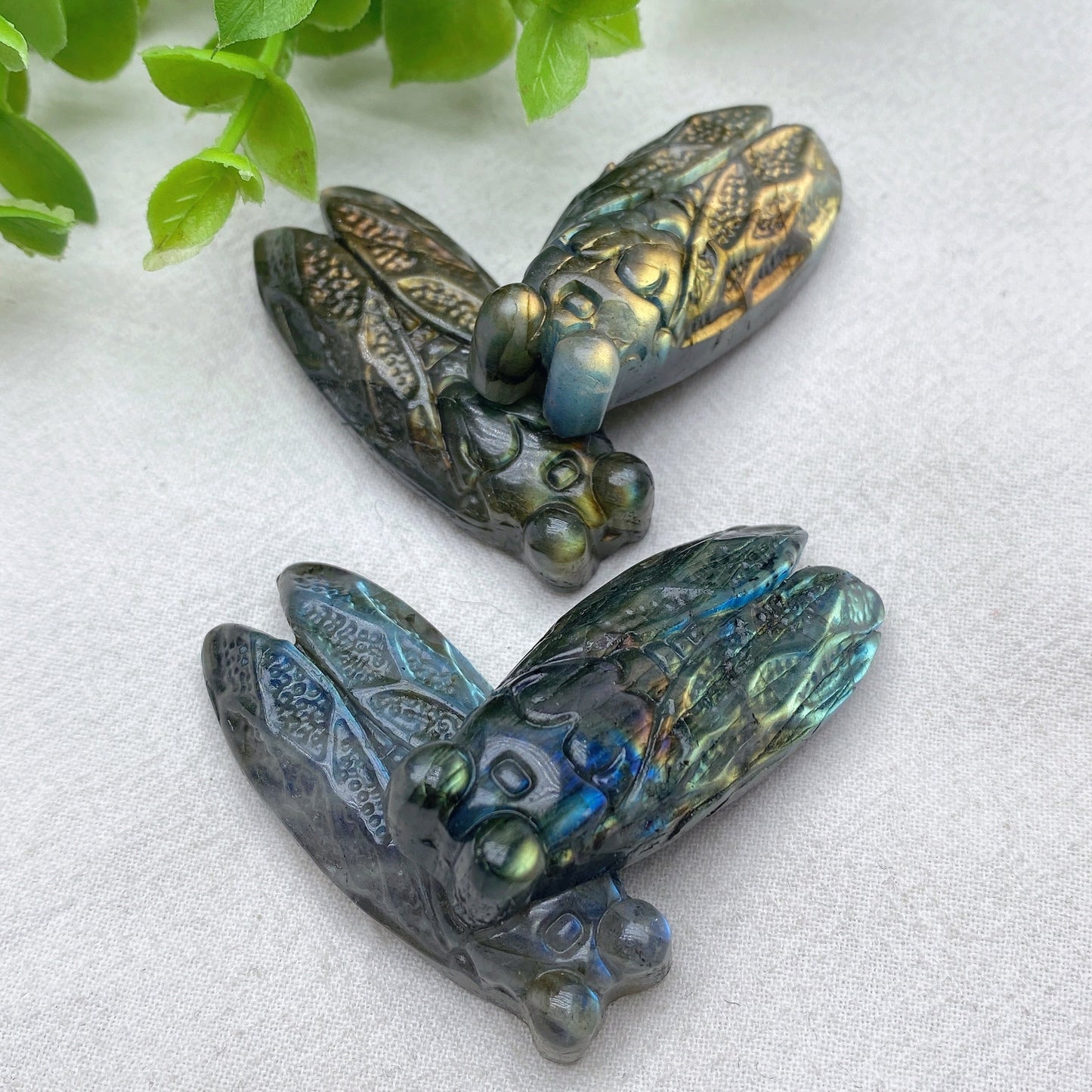 2.0" Blue Flash Red Flash Labradorite Cicada Carvings Bulk Wholesale