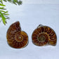 Adjustable Ammonite Ring Crystal Healing Bulk Wholesale