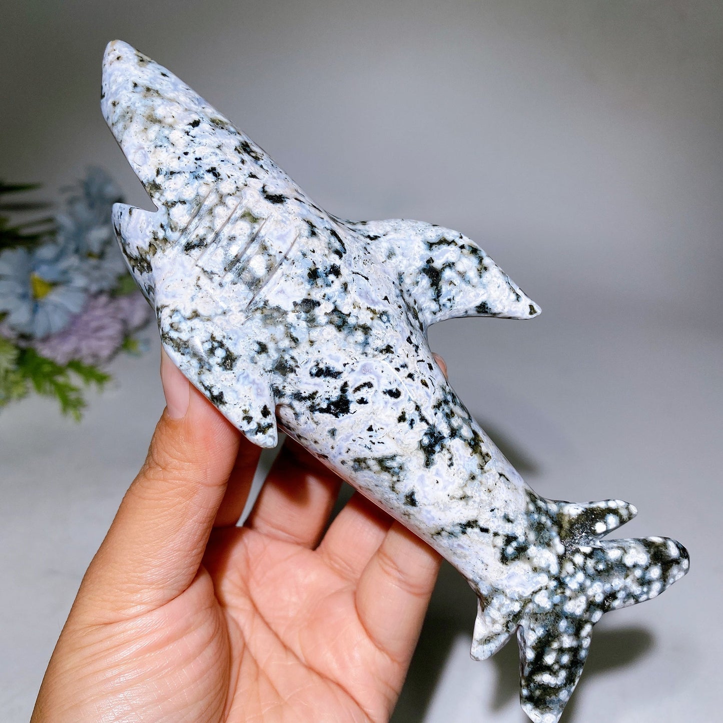 17cm Ocean Jasper Shark Carving Crystal Healing Bulk Wholesale