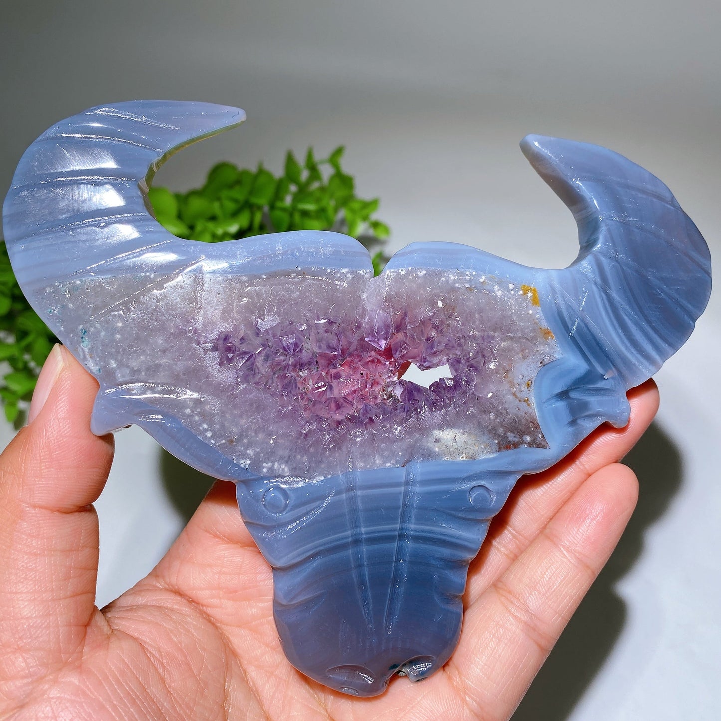 5.4" Druzy Amethyst Bull Head Crystal Carvings Crystal Healing Bulk Wholesale