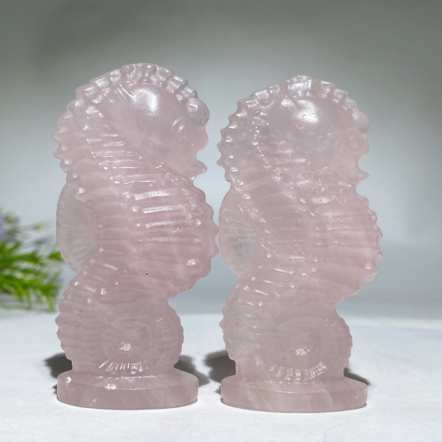 3.2" Rose Quartz Hippocampus Carving Valentine's Day Gift Crystal Healing Bulk Wholesale