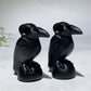 2.4" Black Obsidian Raven Carving Crystal Healing Bulk Wholesale