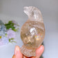 3.3" Smoky Quartz Penguin Carving Crystal Healing Bulk Wholesale