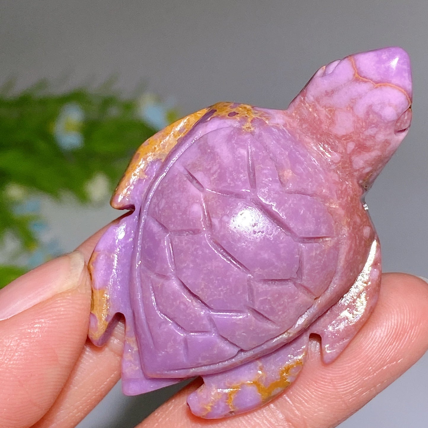2.0"-2.4" Phosphosiderite Turtle Carving Crystal Healing Bulk Wholesale