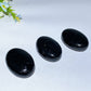 2.3" Schungite Palm Stone Crystal Healing Bulk Wholesale