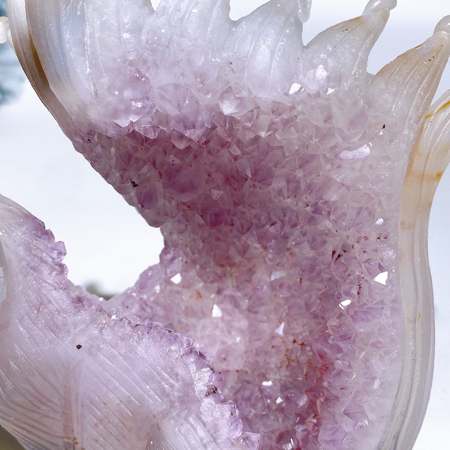 4.5" Unique Agate Growing with Amethyst Cluster Fox Carving Crystal Healing Bulk Wholesale