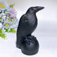 2.3"-4.9" Black Obsidian Raven Carving Crystal Healing Bulk Wholesale