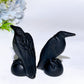 2.3"-4.9" Black Obsidian Raven Carving Crystal Healing Bulk Wholesale