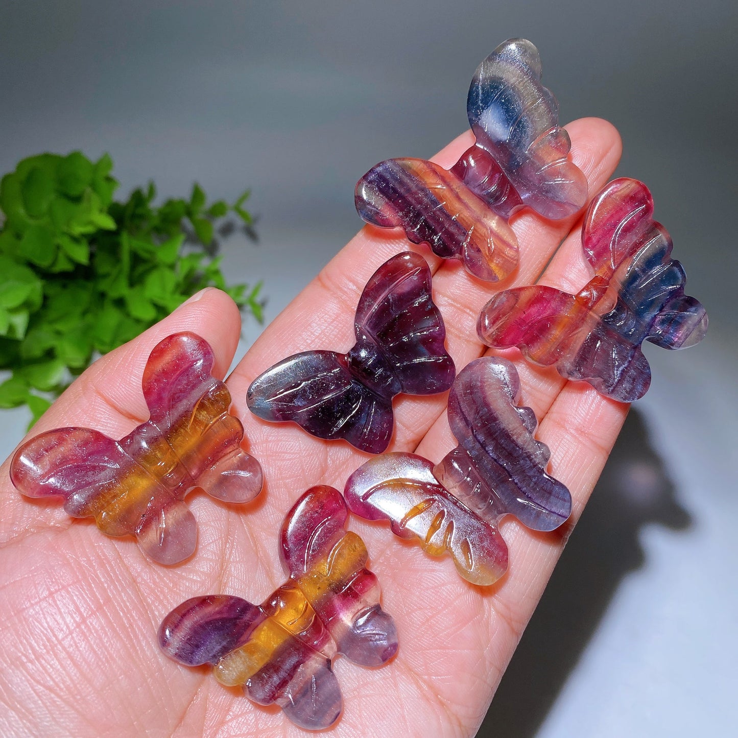 1.6" Rainbow Fluorite Butterfly Carving Crystal Healing Bulk Wholesale