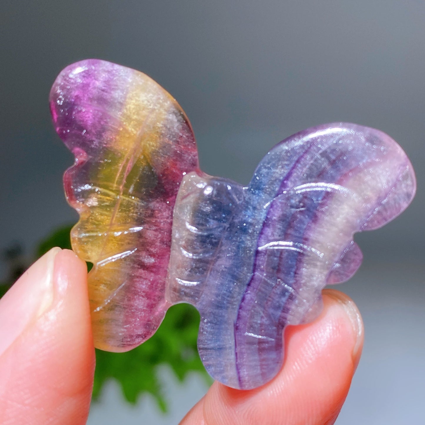 1.6" Rainbow Fluorite Butterfly Carving Crystal Healing Bulk Wholesale