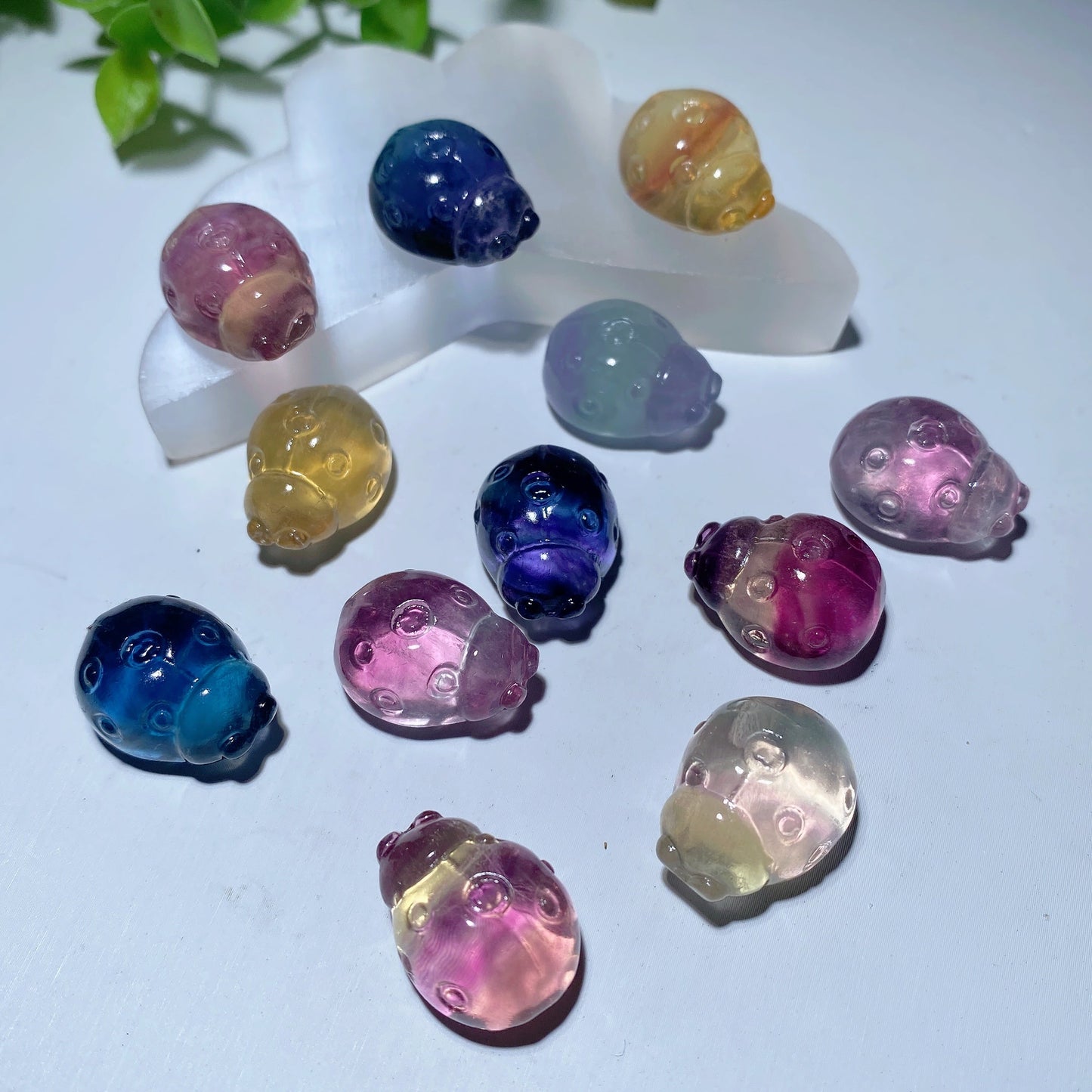 Mixed Fluorite Mini Carvings Bulk Wholesale