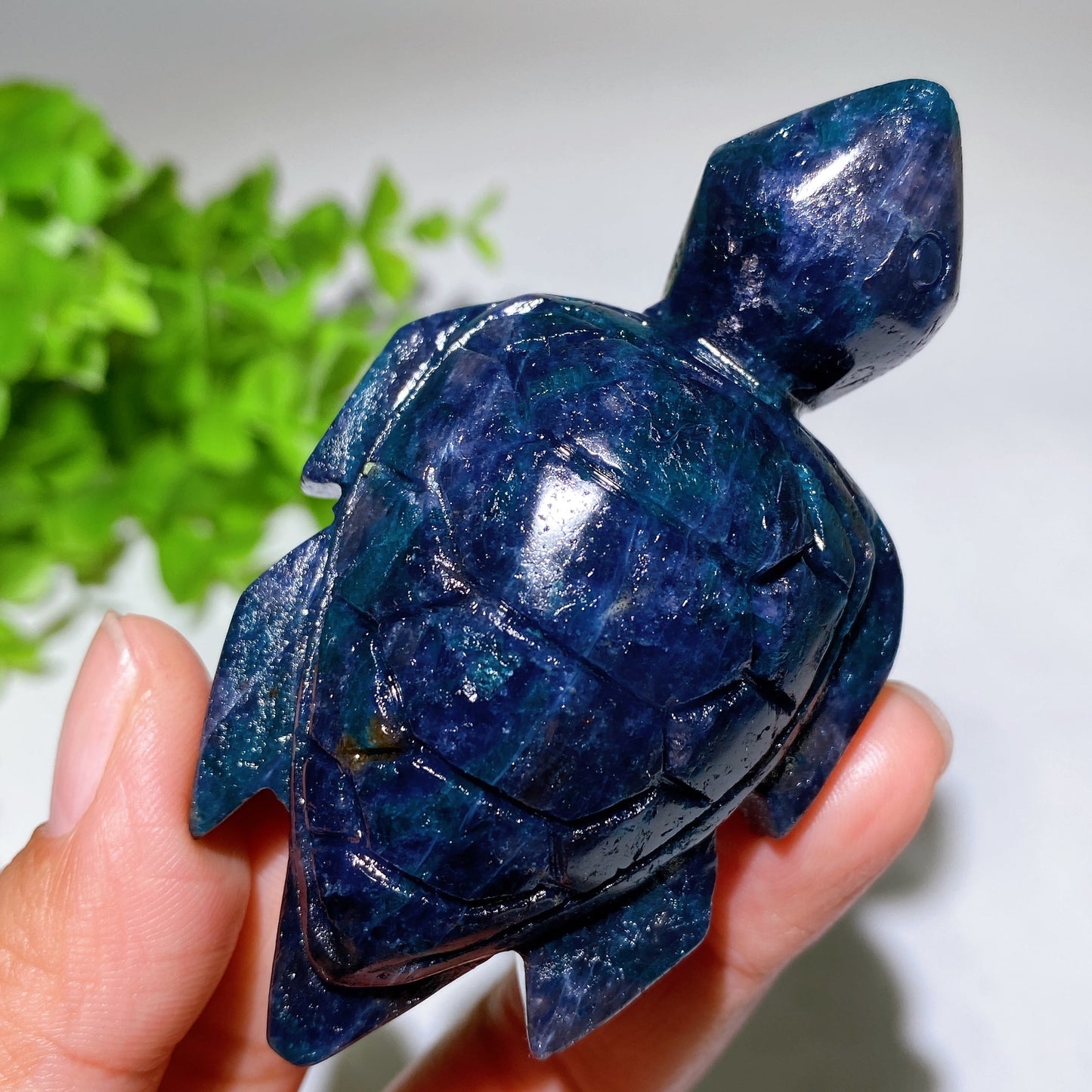 2.2"-3.2" Cordierite Turtle Carving Crystal Healing Bulk Wholesale
