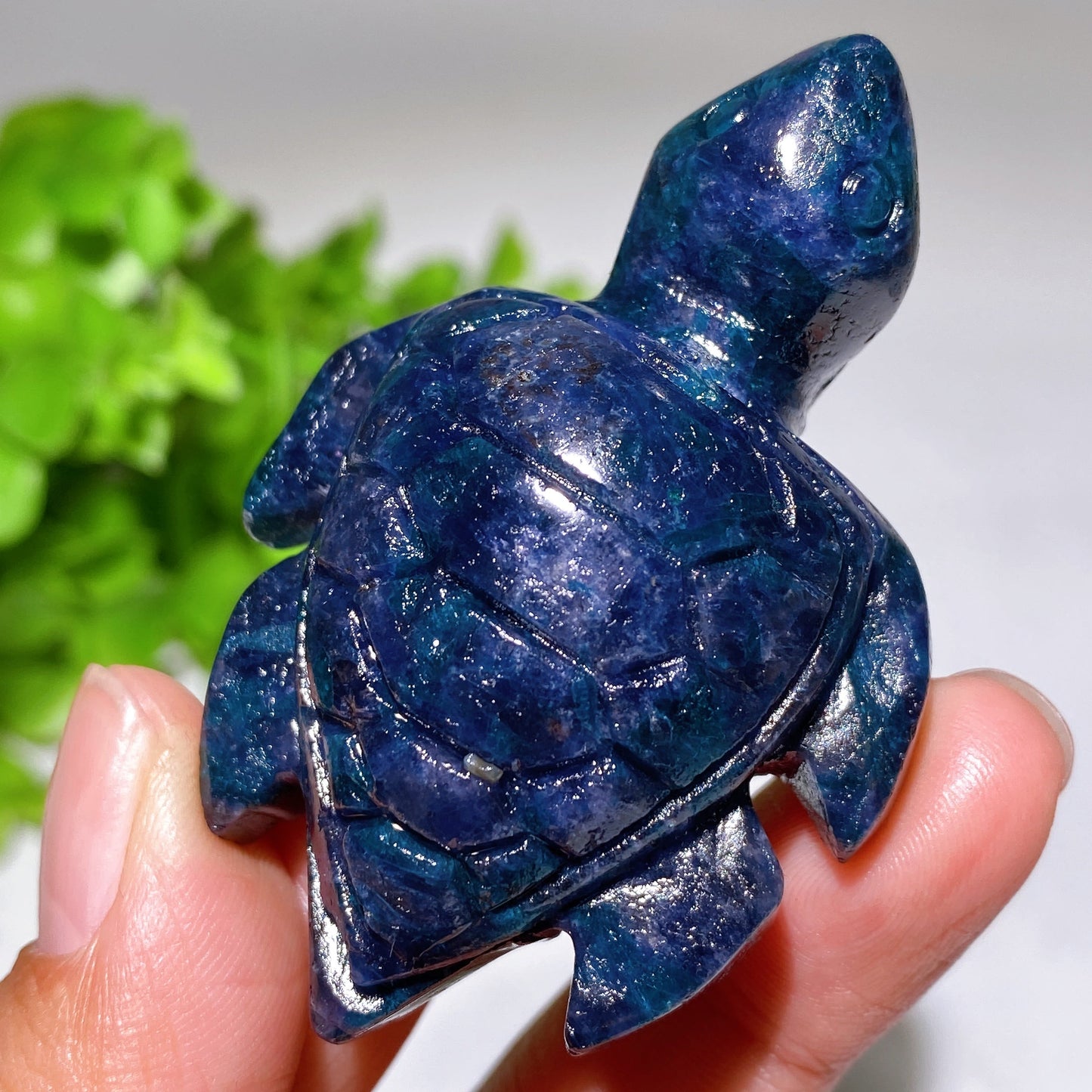 2.2"-3.2" Cordierite Turtle Carving Crystal Healing Bulk Wholesale