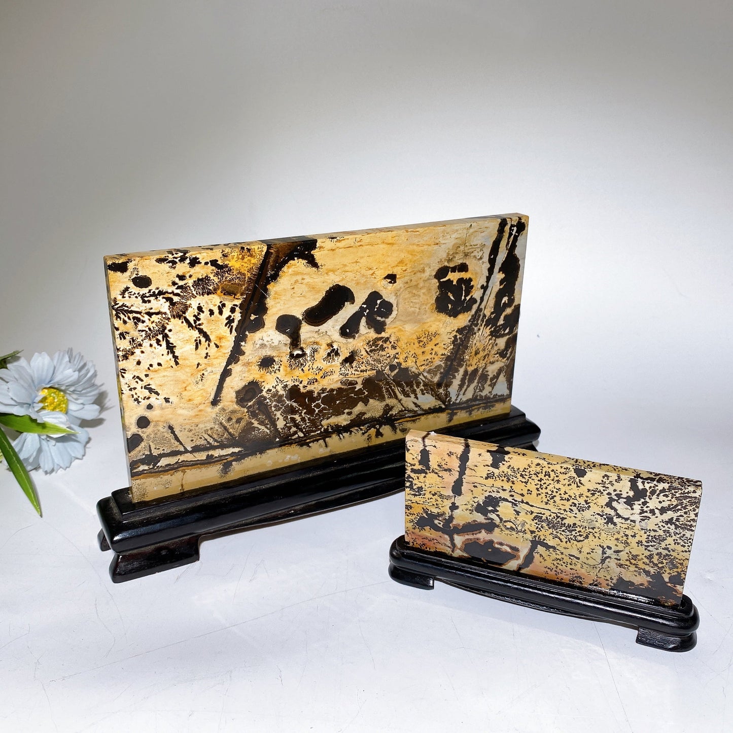 12cm 22cm Picture Jasper Rectangle Slab with Stand Free Form Crystal Healing Bulk Wholesale