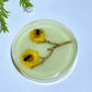 8.5cm Luminous Round Slab with Insect Crystal Healing Bulk Wholesale
