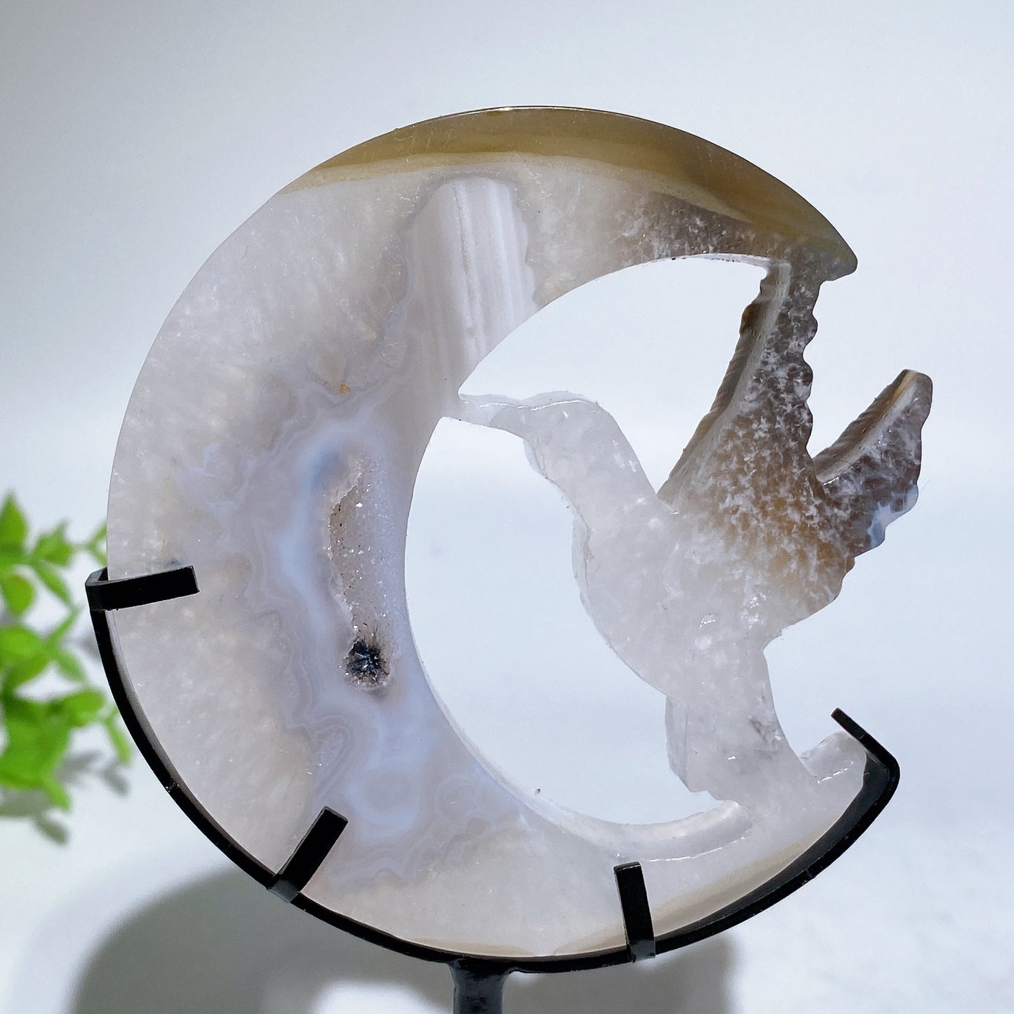 Crystal Hummingbird on Moon Carving with Stand Free Form Crystal Healing Bulk Wholesale