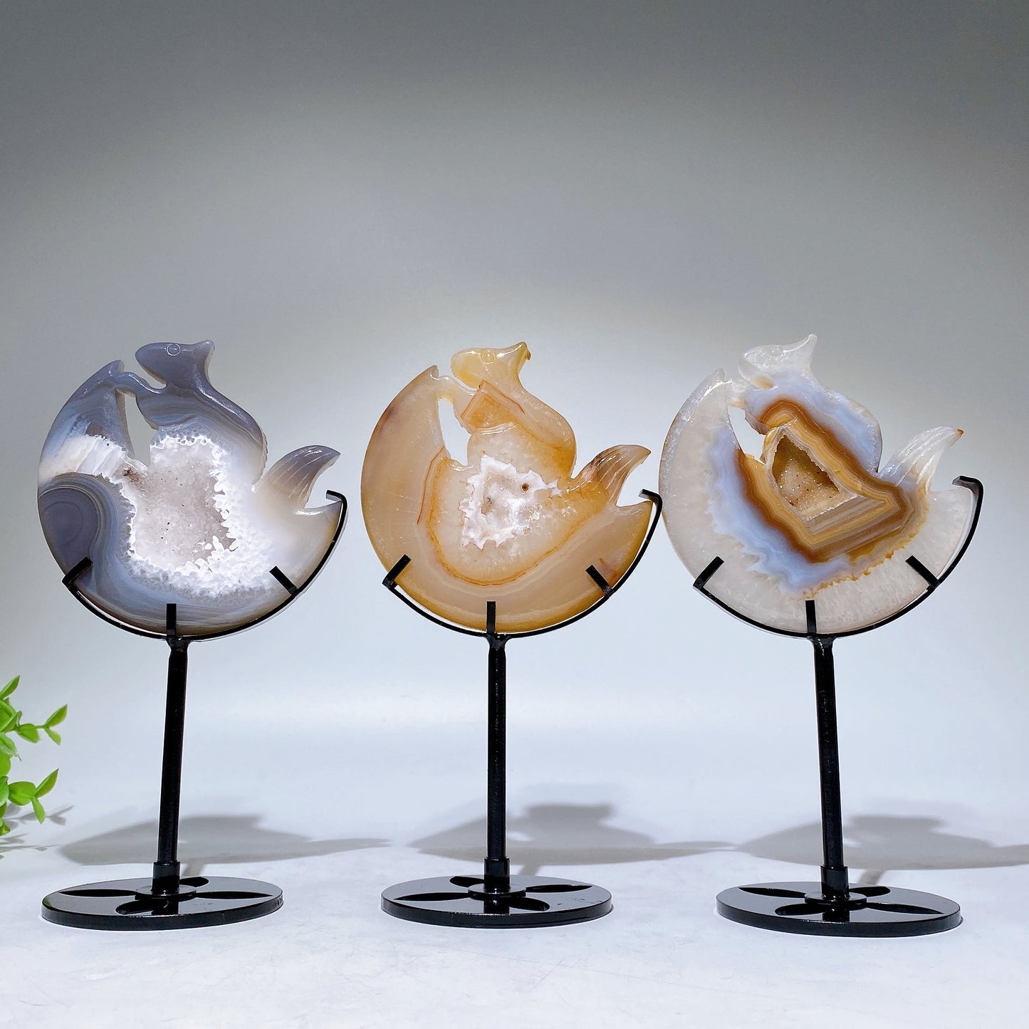 Druzy Agate Squirrel Carving with Stand Free Form Crystal Healing Bulk Wholesale