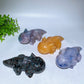 5.6" Crystal Salamander Carving Crystal Healing Bulk Wholesale