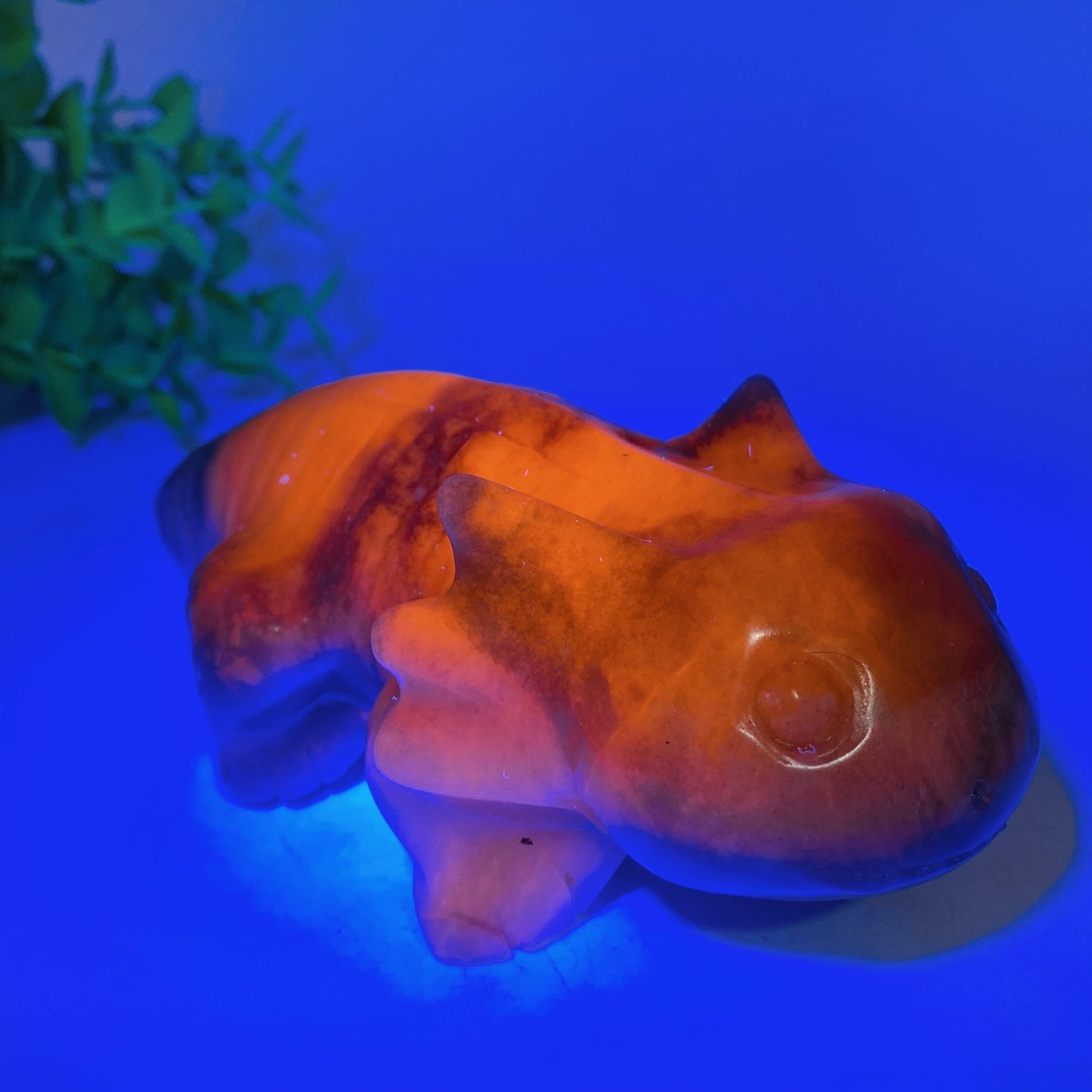 5.6" Crystal Salamander Carving Crystal Healing Bulk Wholesale