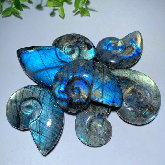 1.5"-3.0" Labradorite Shell Carvings Bulk Wholesale