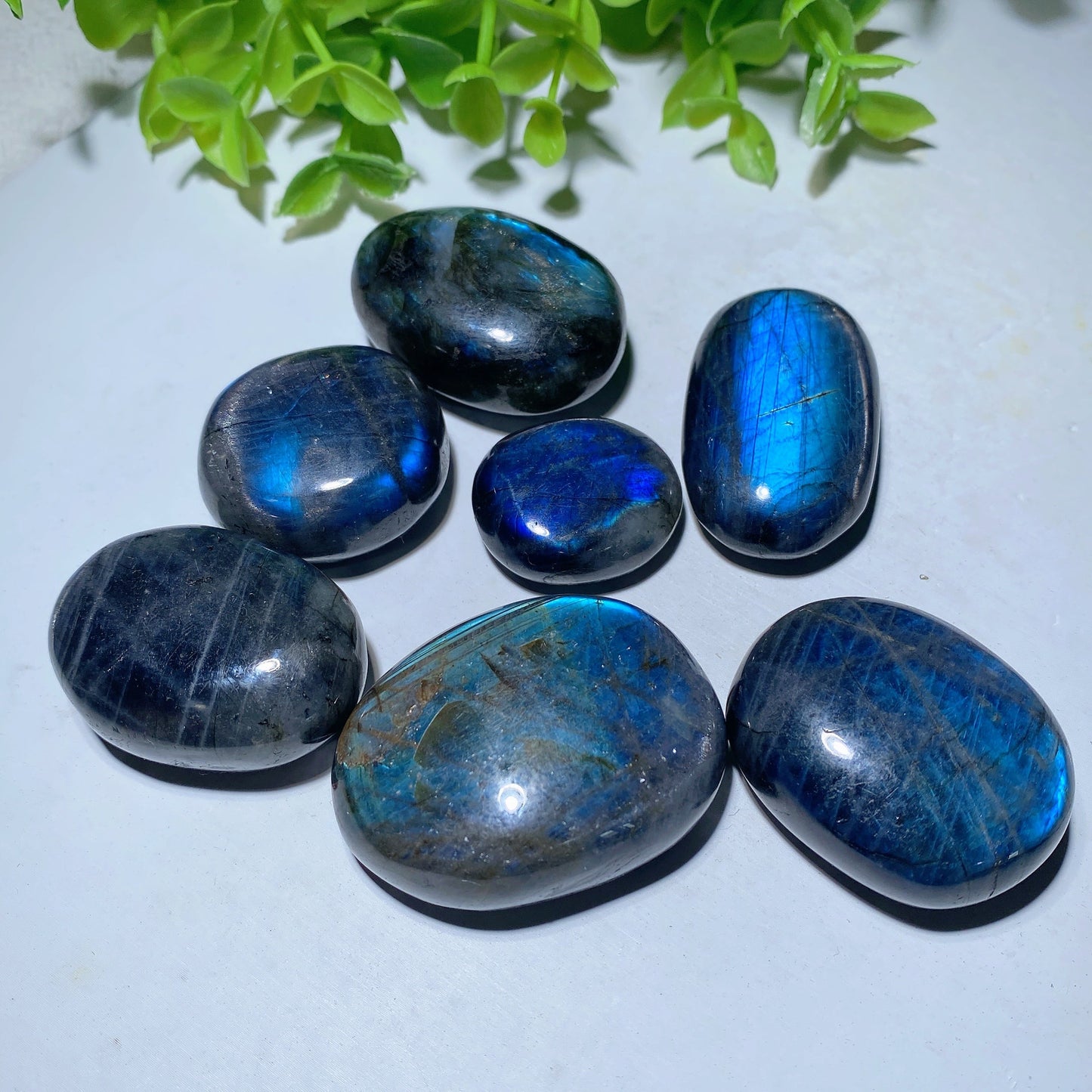 1.0"-1.5" Labradorite Palm Bulk Wholesale