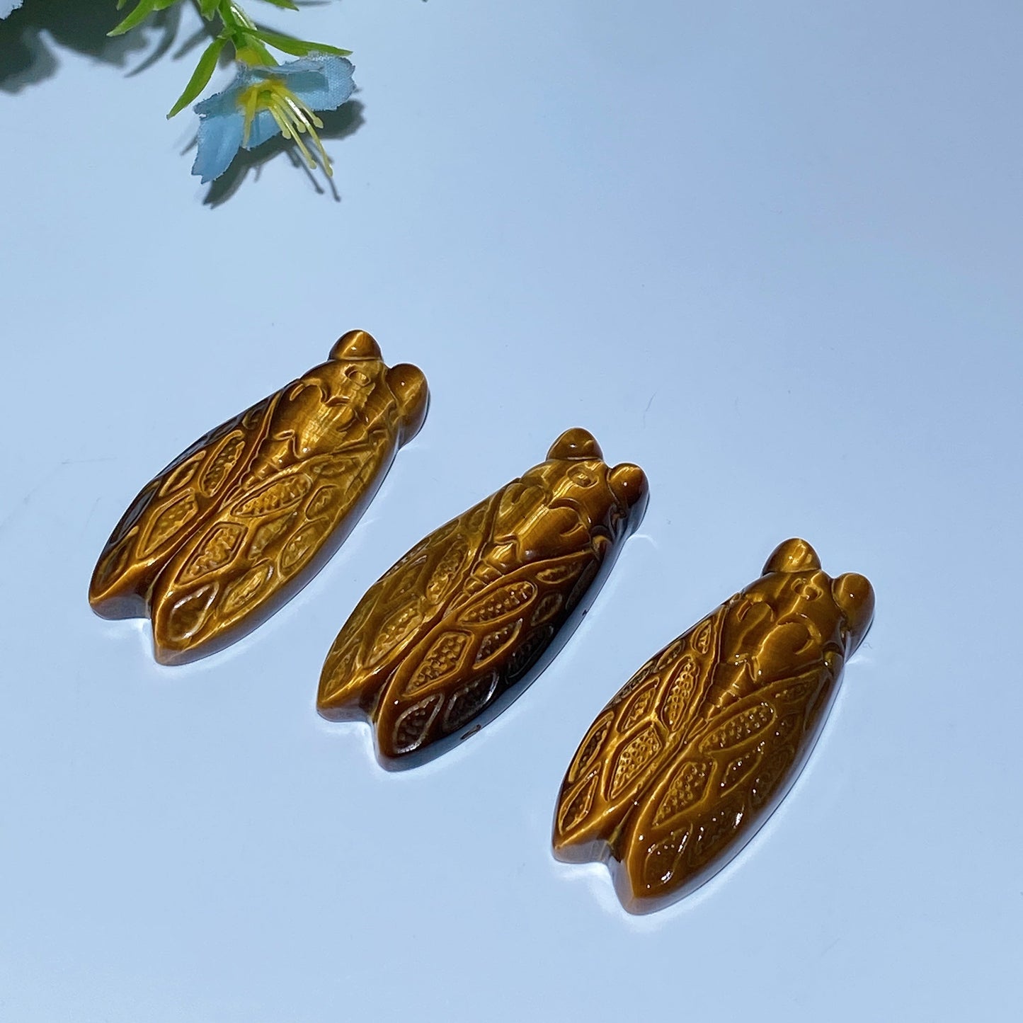 1.8" Yellow Tiger's Eye Cicada Carving Crystal Healing Bulk Wholesale