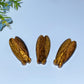 1.8" Yellow Tiger's Eye Cicada Carving Crystal Healing Bulk Wholesale
