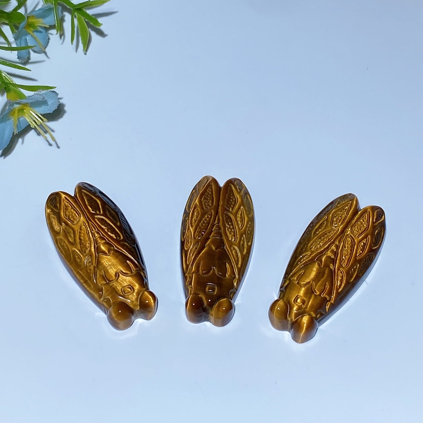 1.8" Yellow Tiger's Eye Cicada Carving Crystal Healing Bulk Wholesale