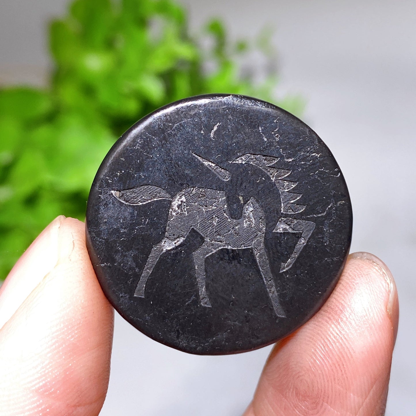 30mm Schungite Round Slab with Double Sides Tape Crystal Healing Bulk Wholesale