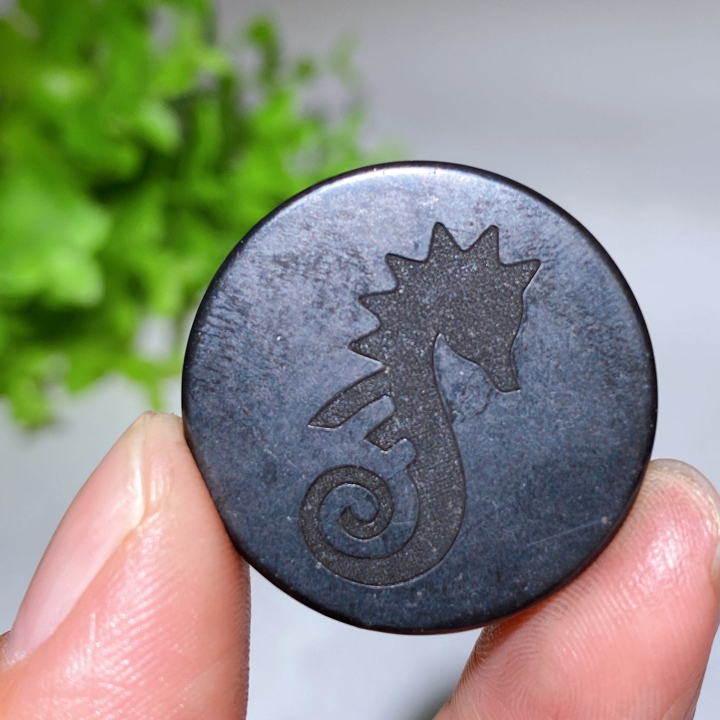 30mm Schungite Round Slab with Double Sides Tape Crystal Healing Bulk Wholesale