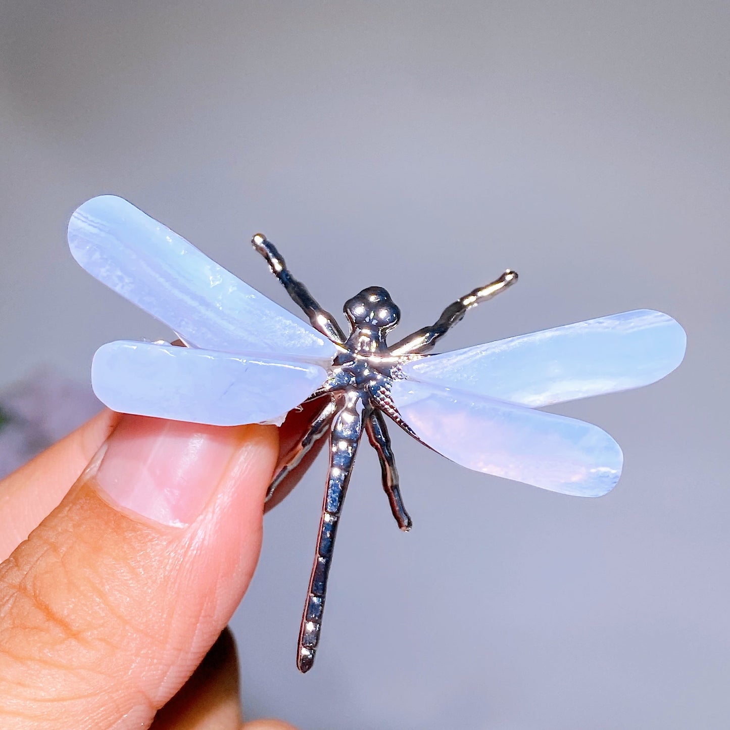 2.1" Blue Lace Agate Dragonfly Crystal Healing Bulk Wholesale