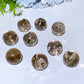 18-20mm Smoky Quartz with Rainbow Sphere Crystal Healing Bulk Wholesale