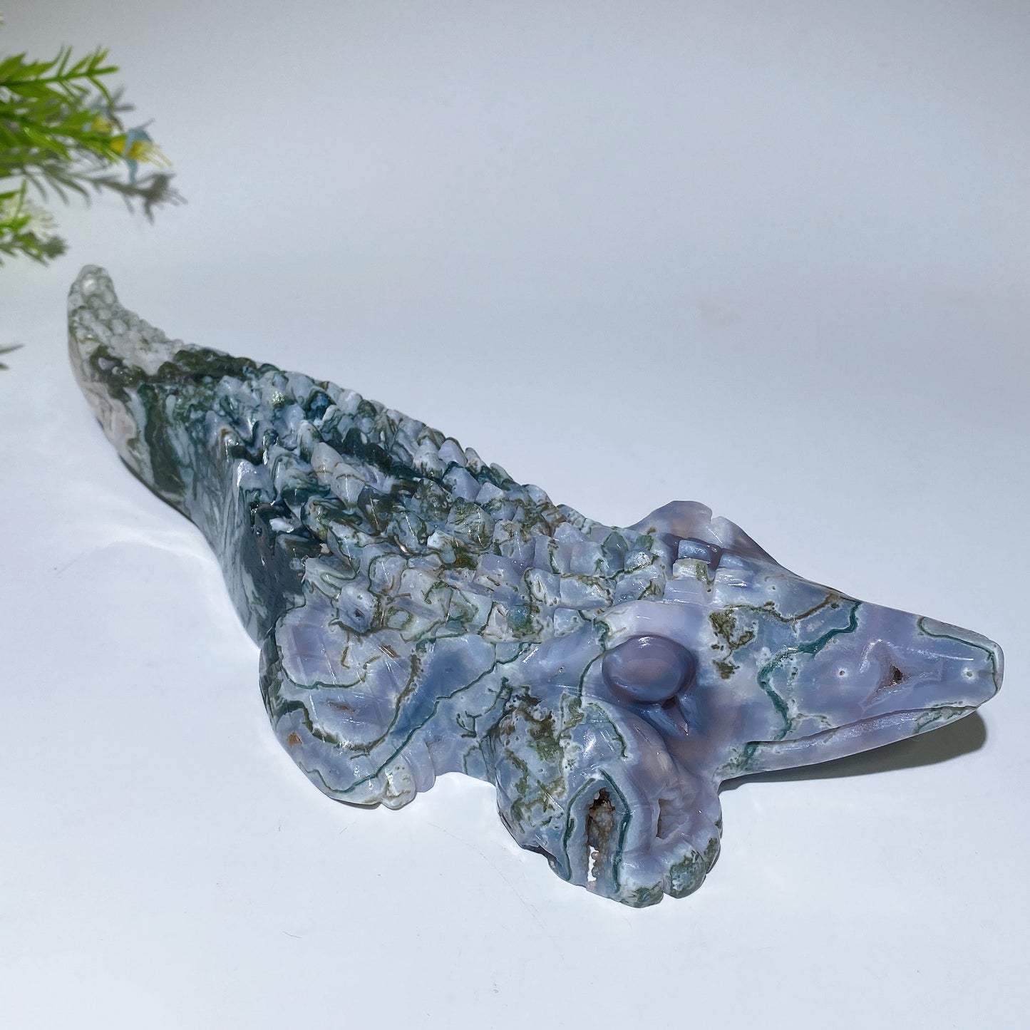 22cm Unique Moss Agate Crocodile Carving Crystal Healing Bulk Wholesale