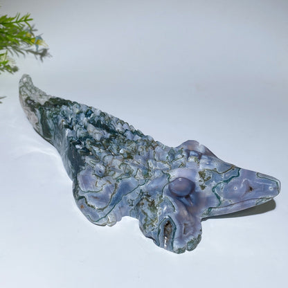 22cm Unique Moss Agate Crocodile Carving Crystal Healing Bulk Wholesale
