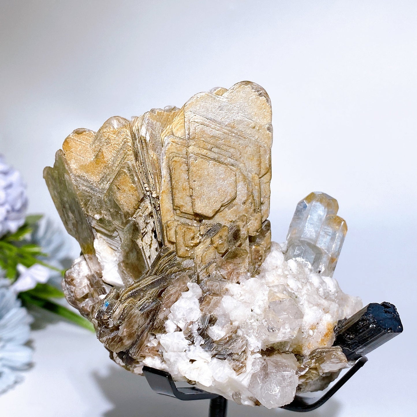 Unique Golden Mica Grow with Aquamarine Black Tourmaline & Quartz Specimen with Stand Crystal Healing Bulk Wholesale