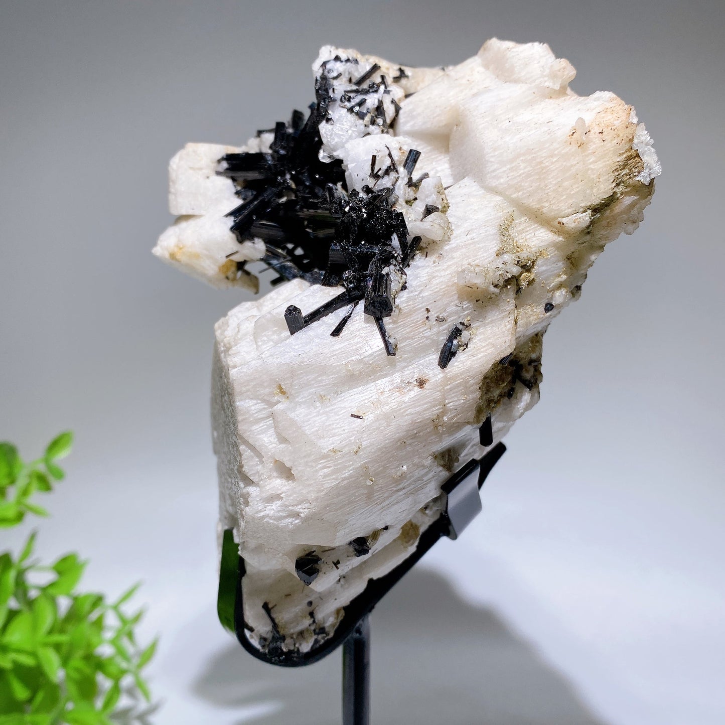 Unique 18cm Black Tourmaline In Feldspar Specimen with Stand