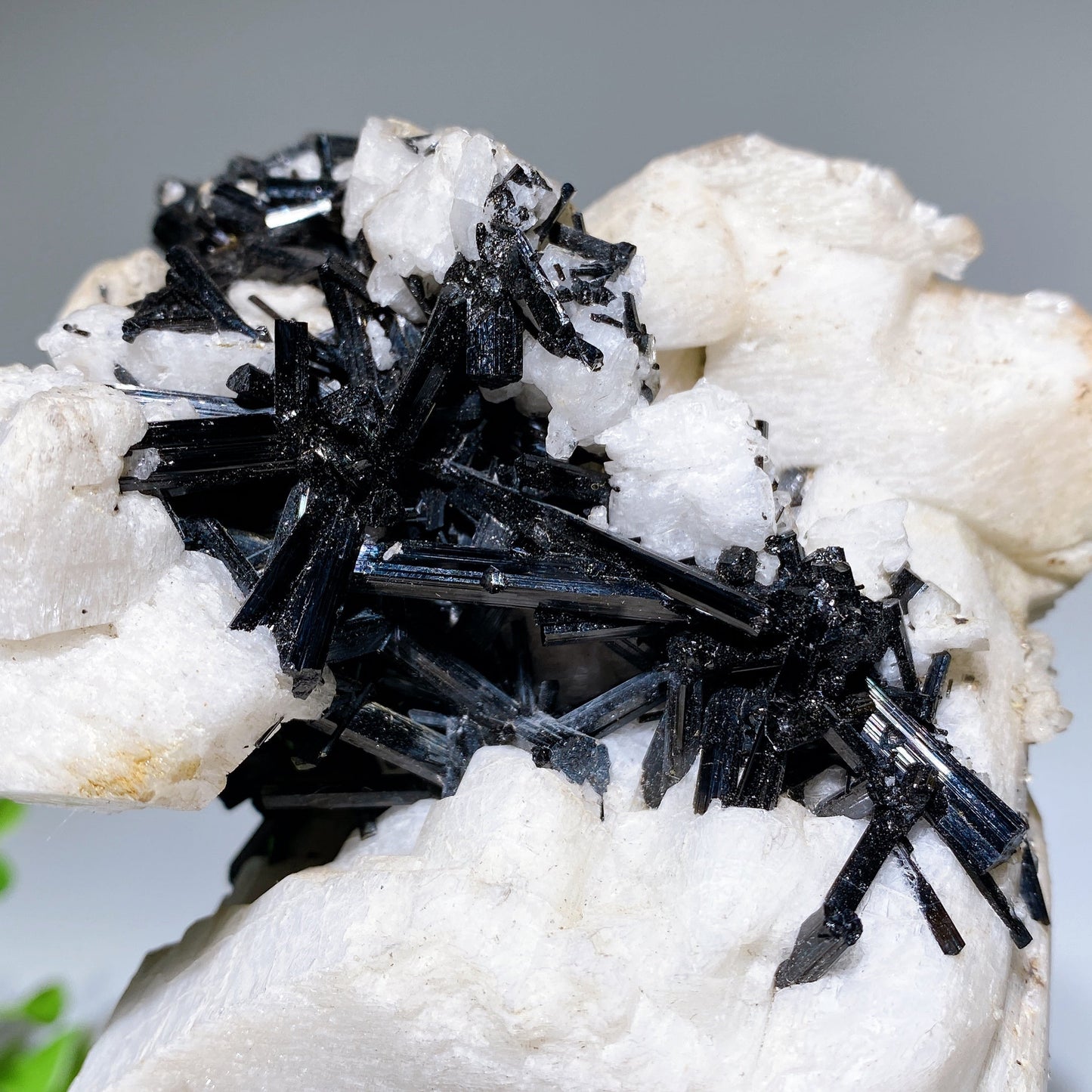 Unique 18cm Black Tourmaline In Feldspar Specimen with Stand