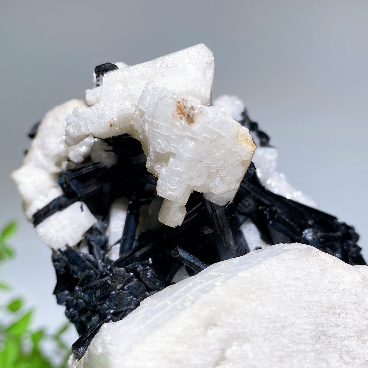 Unique 18cm Black Tourmaline In Feldspar Specimen with Stand