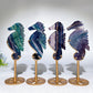 Rainbow Fluorite Seahorse Carving with Stand Crystal Healing Bulk Wholesale