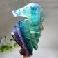 Rainbow Fluorite Seahorse Carving with Stand Crystal Healing Bulk Wholesale