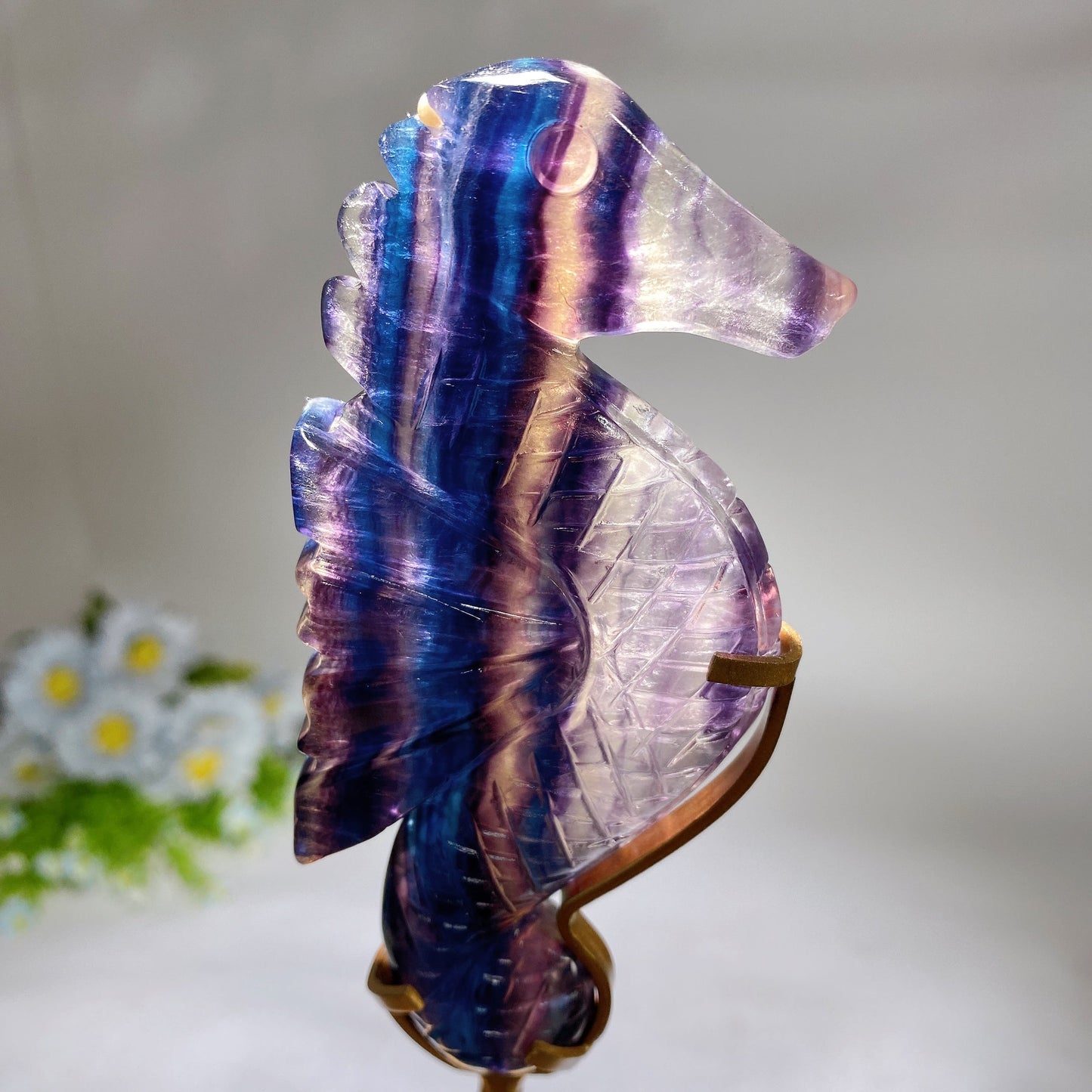 Rainbow Fluorite Seahorse Carving with Stand Crystal Healing Bulk Wholesale