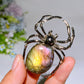 2.4" Labradorite Spider Free Form Crystal Healing Bulk Wholesale