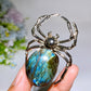 2.4" Labradorite Spider Free Form Crystal Healing Bulk Wholesale