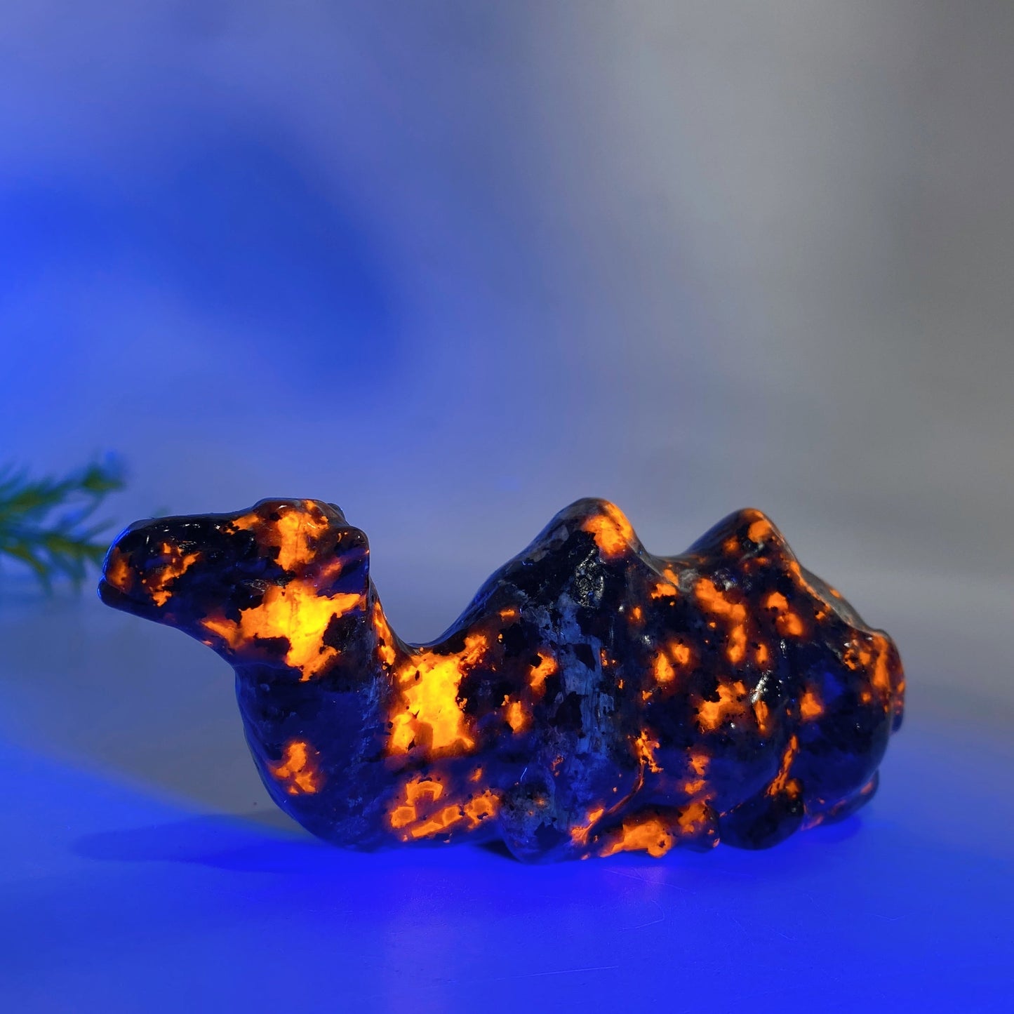 3.9" Crystal Camel Carving Crystal Healing Bulk Wholesale