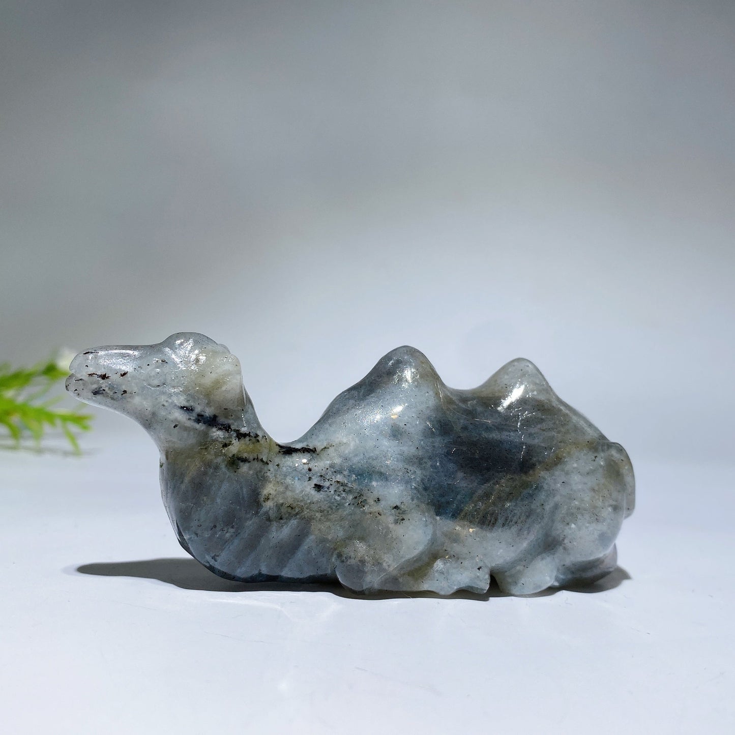 3.9" Crystal Camel Carving Crystal Healing Bulk Wholesale