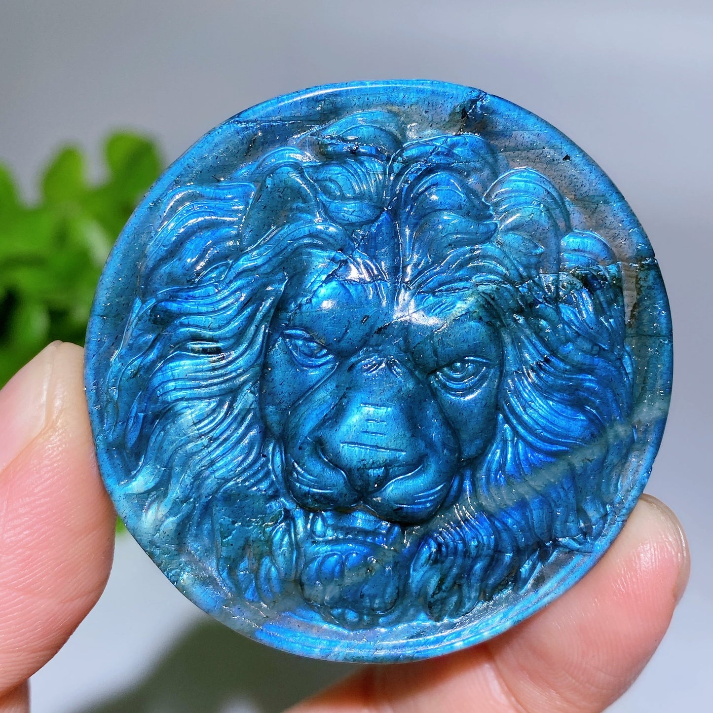 2.0" Labradorite Lion Round Slab Carving Crystal Healing Bulk Wholesale